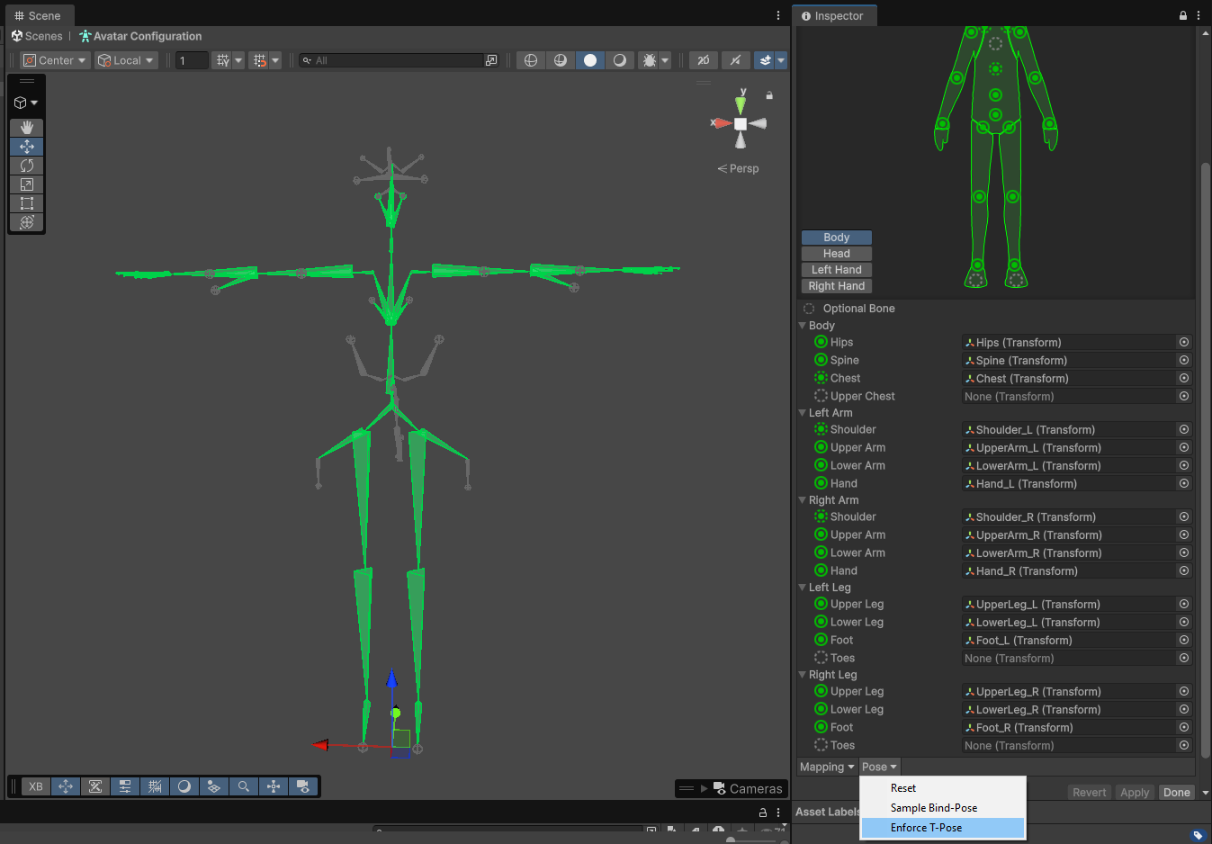 Inspector window showing how to enforce t-pose